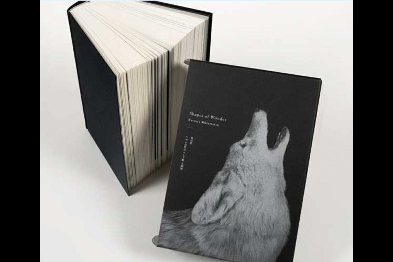 写真集『ShapesofWonderつやま自然のふしぎ館全剥製』村松桂著（8800円）＊つやま自然のふしぎ館公式サイトより