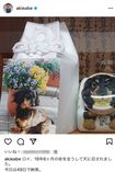 安倍晋三前首相も今年2月に愛犬を亡くした。6月末に保護犬を引き取っている。写真左は愛犬の死を伝える昭恵夫人のインスタグラム