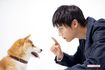 劇中で柴崎が飼っていた柴犬・太郎(本名きぃ)と久しぶりの対面を果たした中川大志 撮影/齋藤周造