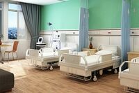 子宮がん・卵巣がん、手術に強い全国「婦人科がん」病院ガイド、いざというときに頼りになる医師も認める経…