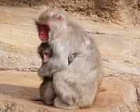 60代女性｢(子を)自分の所有物だと思うと確執を生むだけ｣