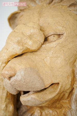 「何よりも、楽しんで作ったことが伝わればいいなと思っています」と玉田さん。2～3週間かけて作られたライオンの顔は、130×60センチと、大きい！　撮影／山田智絵