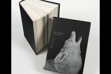 写真集『ShapesofWonderつやま自然のふしぎ館全剥製』村松桂著（8800円）＊つやま自然のふしぎ館公式サイトより