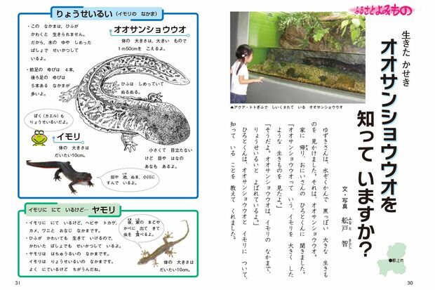 『夏の友』2年「オオサンショウウオ（郷土）」（写真提供：一般財団法人岐阜県校長会館）