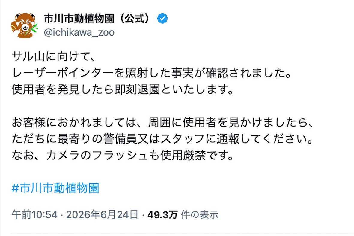 《サル山に向けて、レーザーポインターを照射した事実が確認されました》と報告したニホンザル・パンチくんらが暮らす『市川市動植物園』（公式Xより）