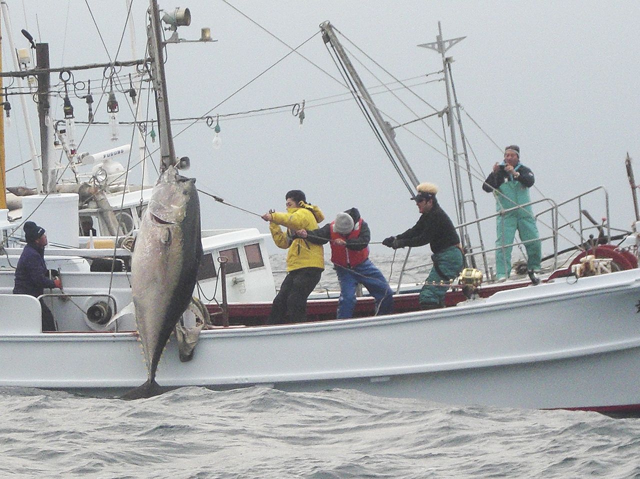 『第12回萩クロマグロトーナメント』で325キロの巨大クロマグロを釣り上げ優勝した松方弘樹さん（右から2人目）〈萩市提供〉