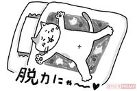 不安&ストレスが吹き飛ぶ！精神科医が実践、猫みたいにノーストレスで生きる