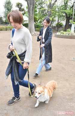 メロンと亀井さん。リードを2本使うことで飼い主の前を歩かないようにする訓練　撮影／渡邉智裕