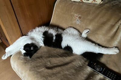 茂太さん（1歳）大胆な寝相が漢らしい！