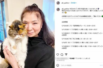 八代亜紀さんが里親として引き取った保護猫のミャンタン（本人のSNSより）