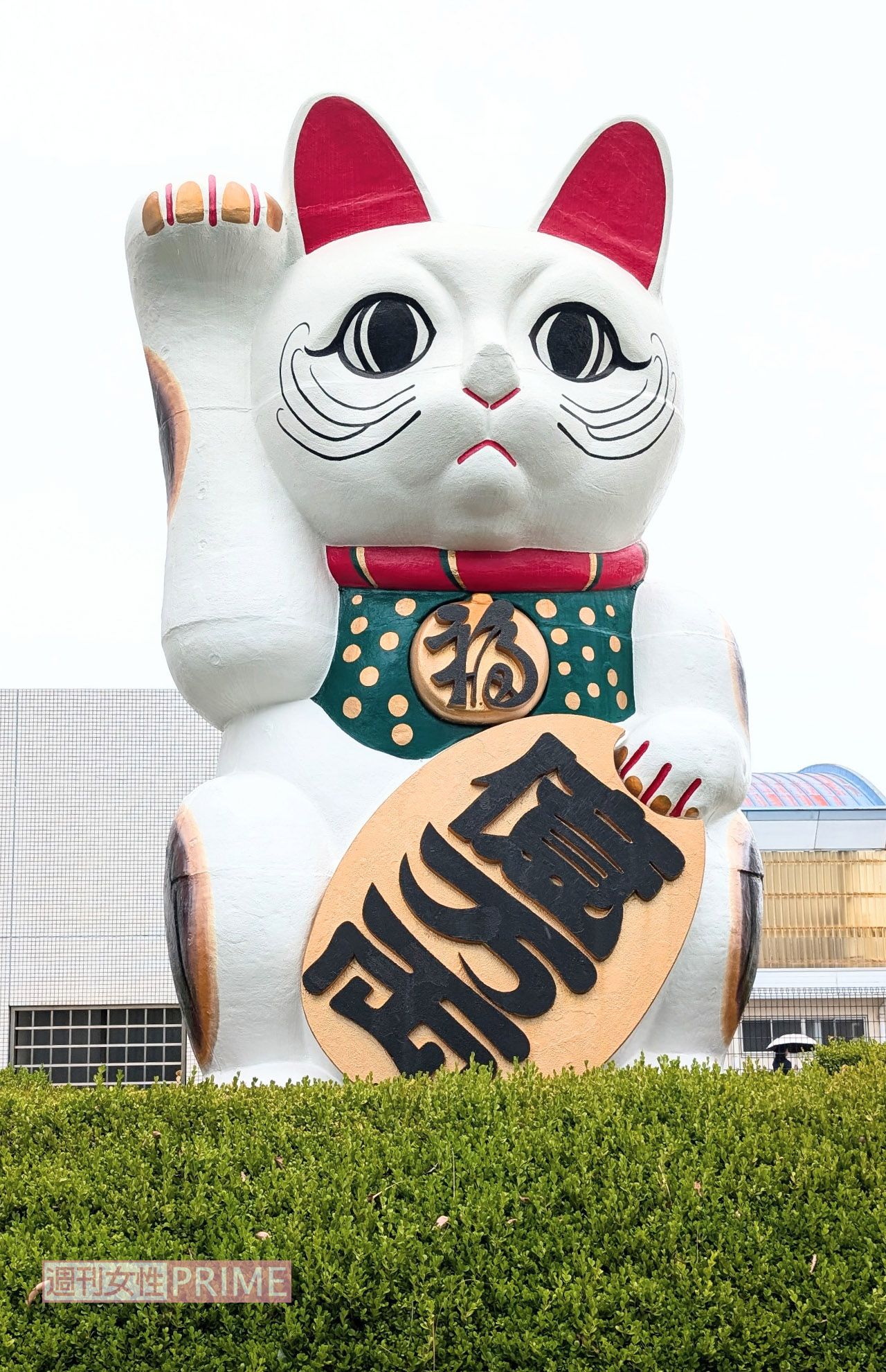 ボートレースとこなめにある巨大招き猫　　撮影／編集部