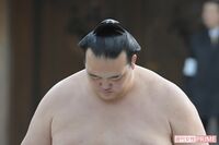 稀勢の里の引退報道に抱いた「違和感」、伝える側には封印すべきフレーズがある