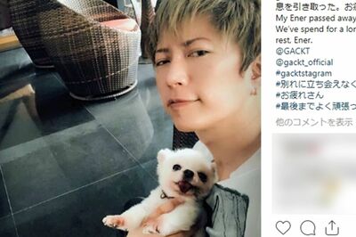 GACKT、“愛犬譲渡”で炎上もファンは「別に驚かない」 飼い犬が突然死の過去も