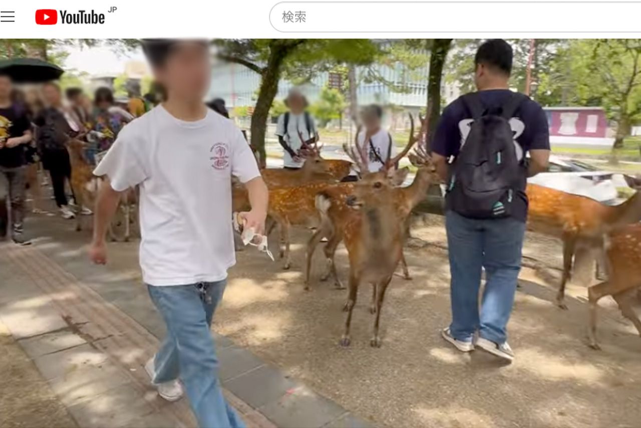 YouTubeに投稿された、奈良公園で鹿を蹴飛ばす男性、どこかイライラした面持ち（一部編集部加工）
