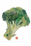 【ブロッコリー】山の景色の写真からみんなとって、ちょっとの間に貼りましてん。自分では、これがいちばんようできた思てます。娘に「おかあさん早うしたな」言われました。 撮影/佐伯慎亮