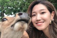 すい臓がんのステージ4「余命2年」宣告された32歳YouTuber『サニージャーニー』みずきさん、治療費、副作用…