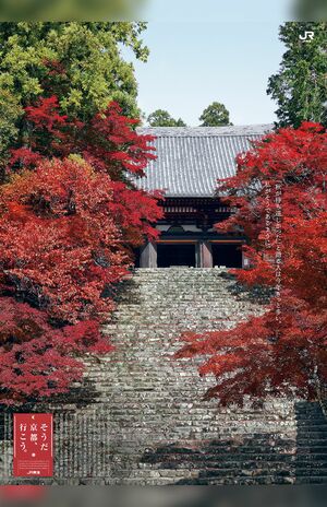 「神護寺」'22年秋。“「秋が待ち遠しかった」と語る人は今年きっと多い。私がそうであるように。”