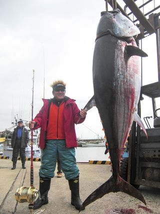 『第12回萩クロマグロトーナメント』で325キロの巨大クロマグロを釣り上げ優勝した松方弘樹さん〈萩市提供〉