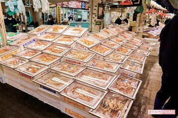 店頭にはカニがズラリと！　撮影／山田智絵