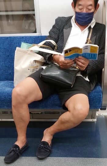 電車内で目撃された石田純一