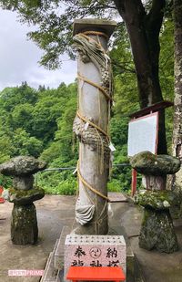 境内では、「高龍大神」と書かれた石碑や、龍神が巻きついた「龍神塔」にも手を合わせ、金運祈願を　新潟県・高龍神社