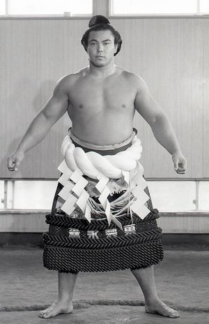 心に残った「昭和・平成・令和のお相撲さん」ランキング》若貴兄弟