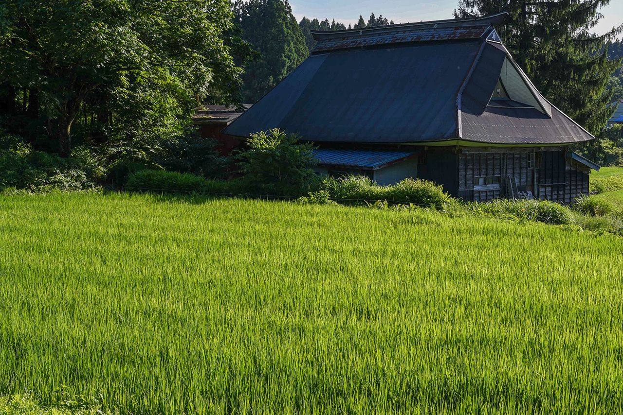 「一村貸し」で話題を集めている新潟県糸魚川市の山間地にある市野々集落にある「宿屋堂道」　写真提供／株式会社伝燈