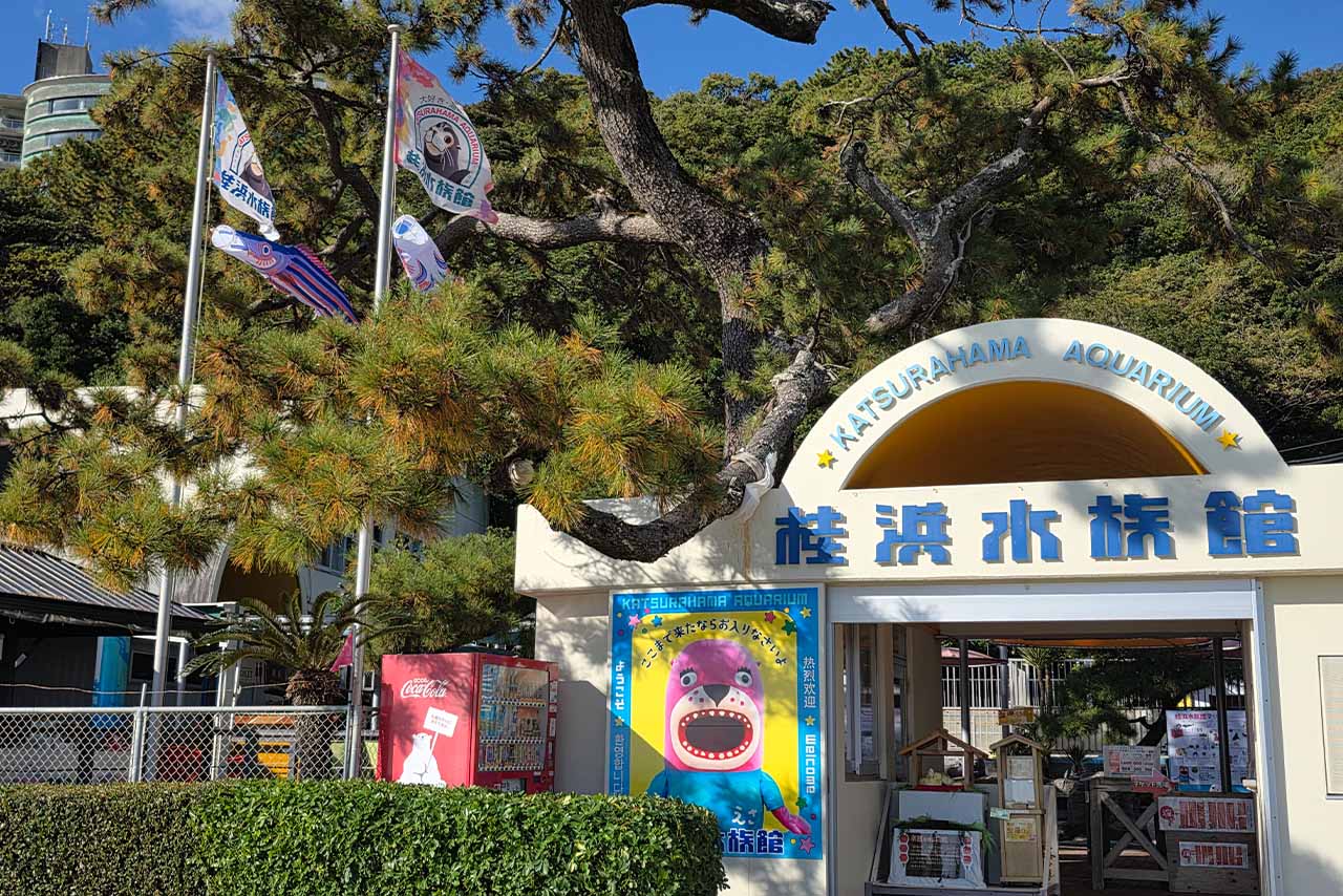 水族館の外観　写真提供／桂浜水族館
