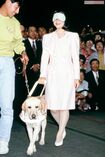 福井県で開かれたボランティアイベントで黒田清子さん(当時は紀宮さま)が盲導犬体験をした場面('93年9月)