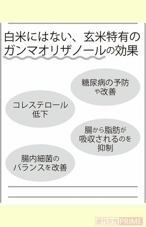 玄米特有の「ガンマオリザノール」の効果