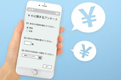 副業&小遣い稼ぎに最適!誰でも稼げるアンケートモニター生活、“スキマ時間” で30万円稼ぐ方法