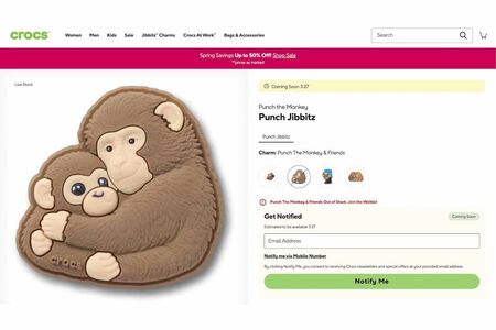 「PunchJibbitz」という名前もそうだが、市川市動植物園のパンチを明確に想起させるデザインの商品。さらに追加販売される模様（クロックスのオンラインショップより）