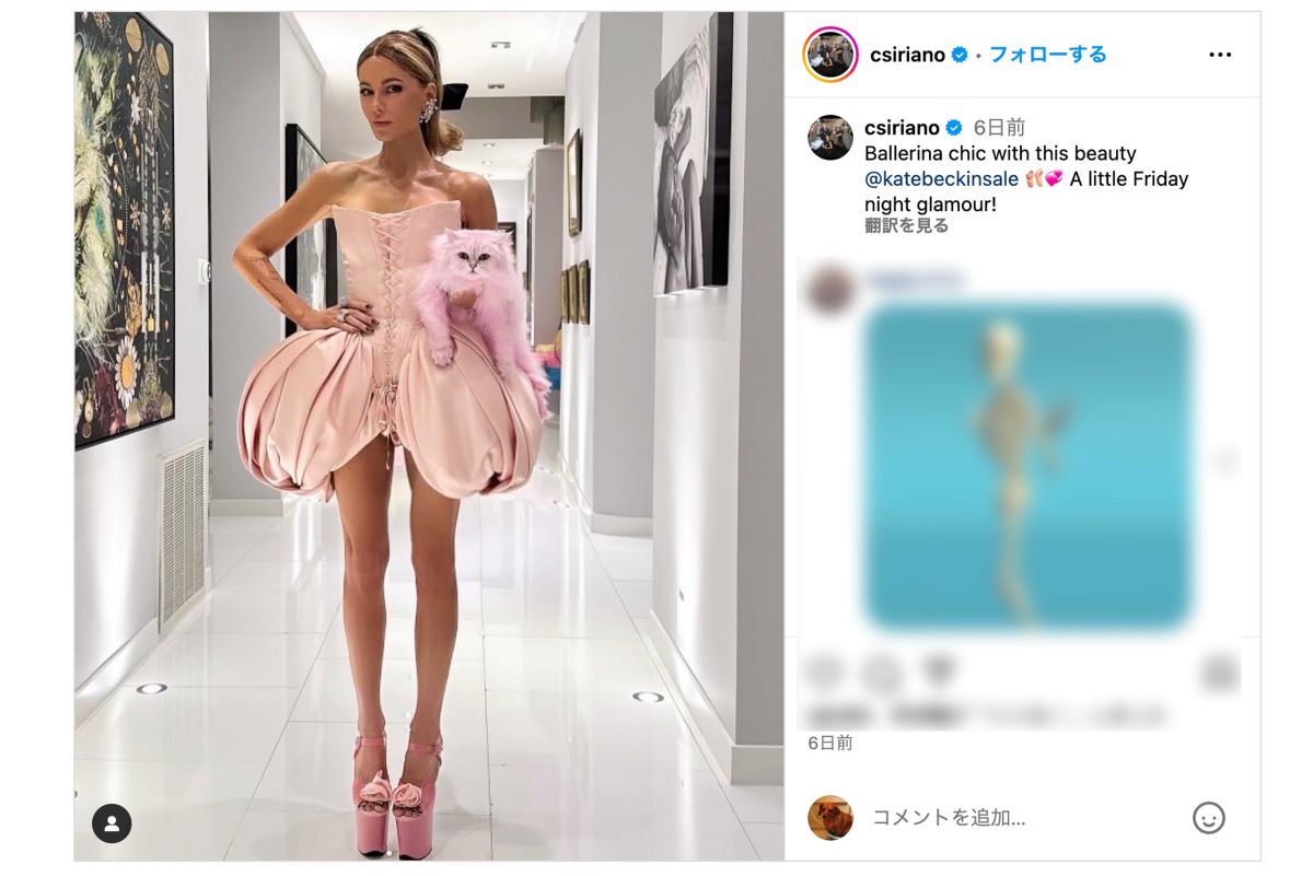 記事で「睾丸のよう」とされたコルセットドレス（Christian Siriano公式インスタグラムより）