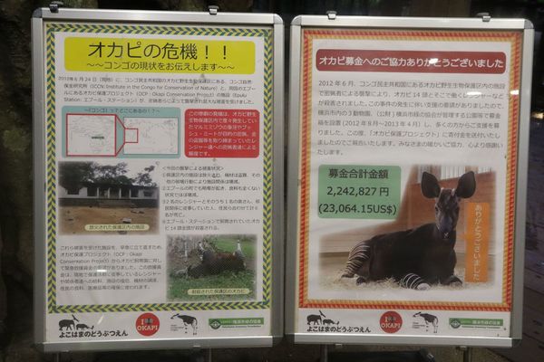 手書き看板をチェック！