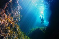 【心理診断】タイプ別！　気になるあの人、デートにどう誘う？