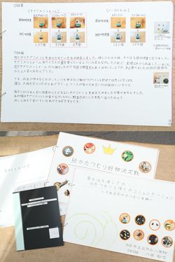 八田知也くんの自由研究。3年生（写真上）ではいろんな野菜を与え、どのエサを好むかを観察。4年生（写真下）では好物決定戦を行い、カルシウムが大好物であると発見し、大阪府学生科学賞で最優秀賞を受賞。5年生では、どのようにエサを探すかを調べ、自然科学観察コンクールで入賞。自分で撮影した写真やデータを細かくちりばめた大作だ。