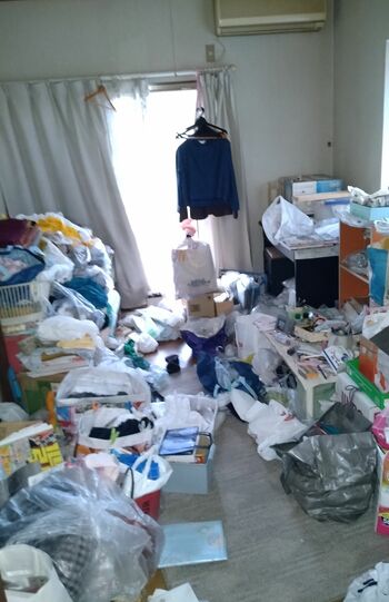 人が1人通れるほどの隙間しかないゴミで埋め尽くされた部屋