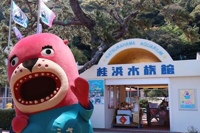 高知・桂浜水族館「きっと客は来ないW」自虐X投稿が万バズ!担当者に聞いた“その後”と平日来館のメリット