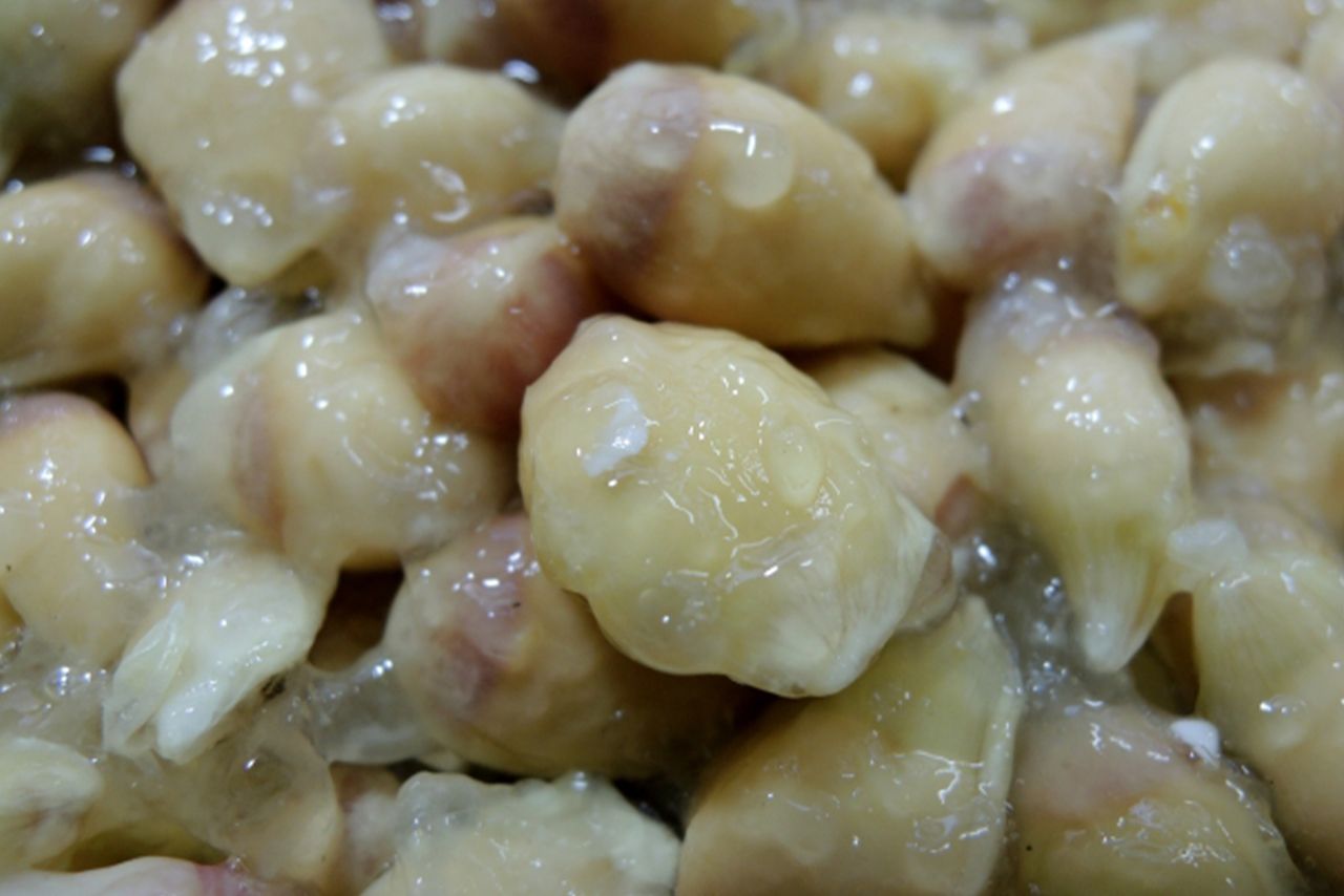 中身にとろみがつくまで1週間から10日間