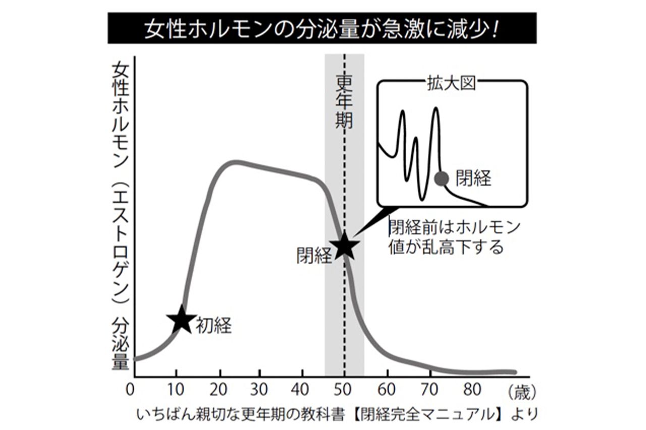 閉経前後の更年期に、女性ホルモンの分泌量が減少。低い値で安定するまではさまざまな不調が現れる