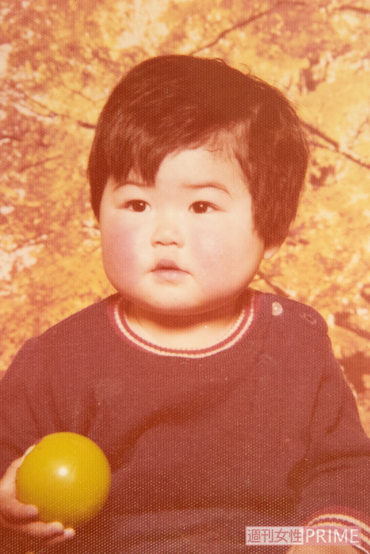 焼け跡から見つかった家族の思い出写真。中には一部焼けているものも