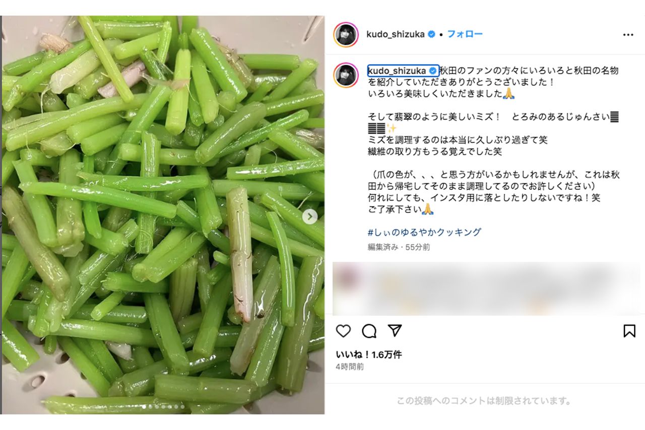 秋田名物で今が旬の山菜であるミズや、ジュンサイを用いた料理写真をアップした工藤静香（本人インスタグラムより）