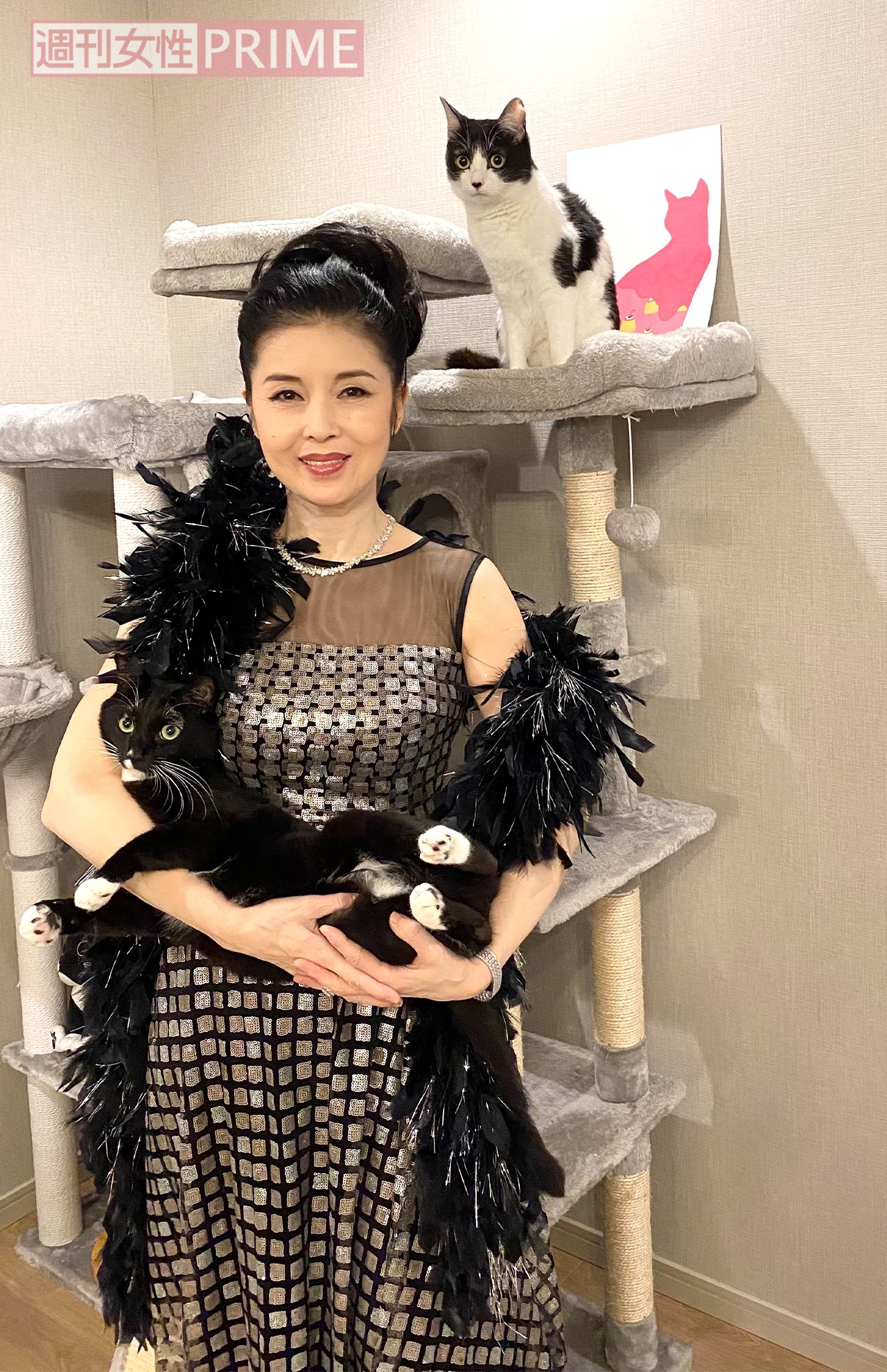 衣装のままマルを抱く藤。後ろでポーズをとるのが姉猫のオレオだ