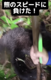 熊はしつこかったものの、ちょっと噛みついてすぐに去ったという(YouTubeチャンネルより)