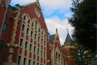 フィフィ、慶大生の性的暴行疑惑に「不祥事が起きやすい背景があるんだと思うよ」