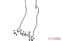 イラスト／水口アツコ