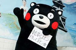 くまモンそっくり「パクリかと思ったら公認」台湾・高雄熊が本家より“可愛い”と反響、熊本県に聞いた意外な交流関係