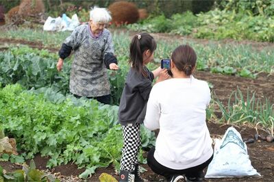 最強ばあちゃん・ちよさん　写真/海保竜平