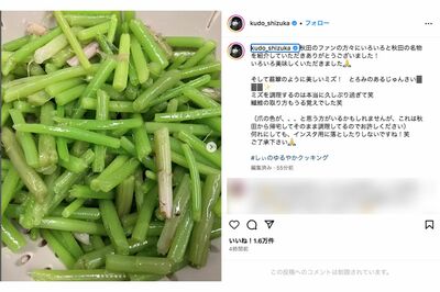 秋田名物で今が旬の山菜であるミズや、ジュンサイを用いた料理写真をアップした工藤静香（本人インスタグラムより）