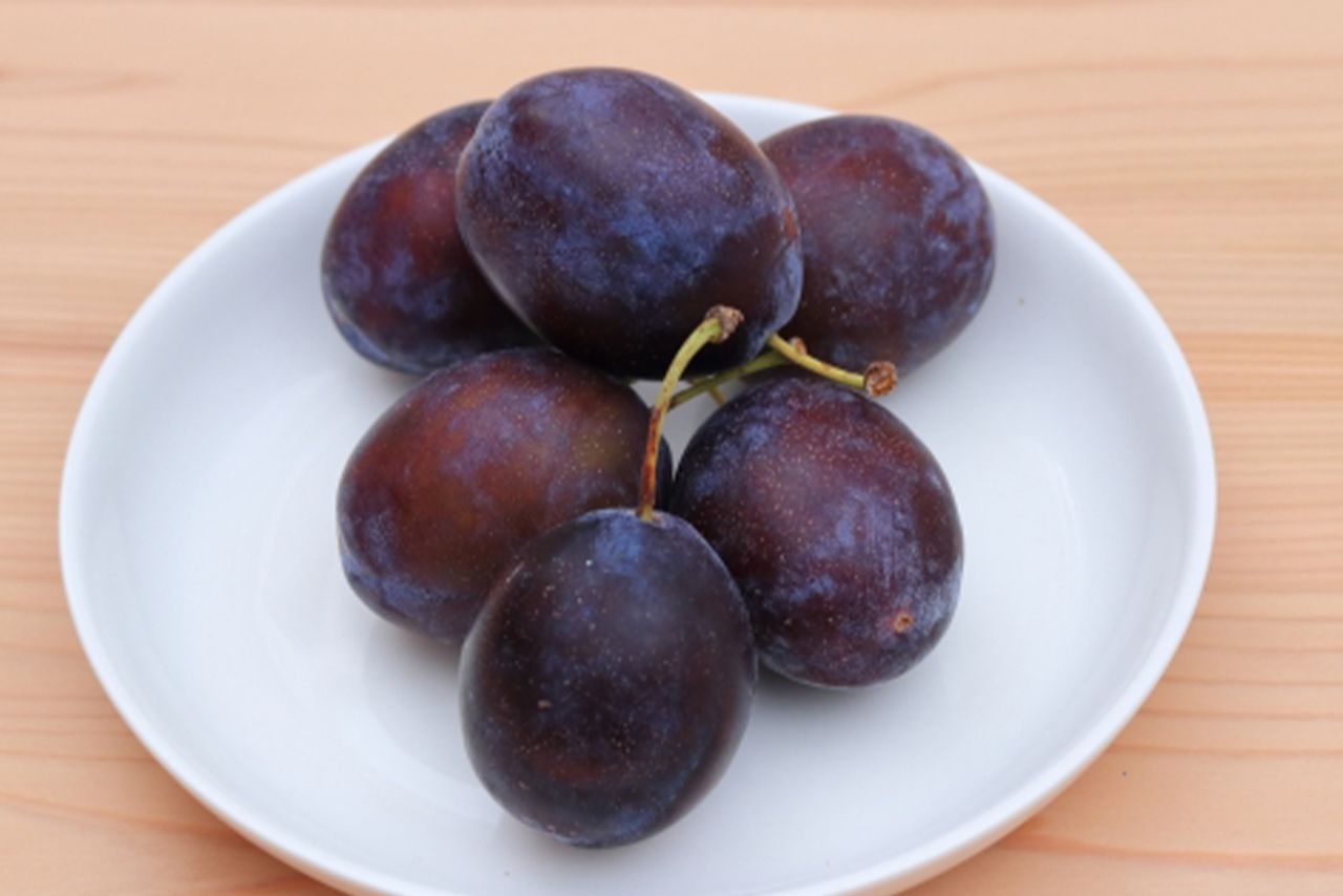 プルーンに含まれるポリフェノールやβ-クリプトキサンチンなどの成分が、骨密度を維持したり、骨吸収を抑制する効果を期待できる※写真はイメージです